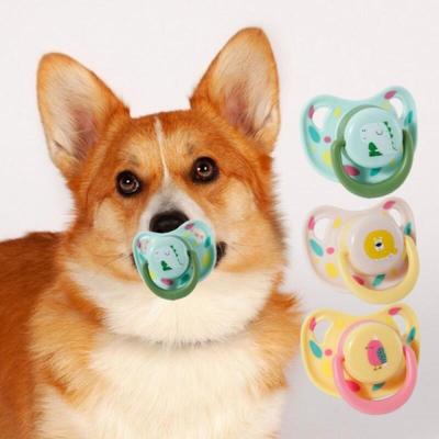 Puppy Teeth Grinding Prevention