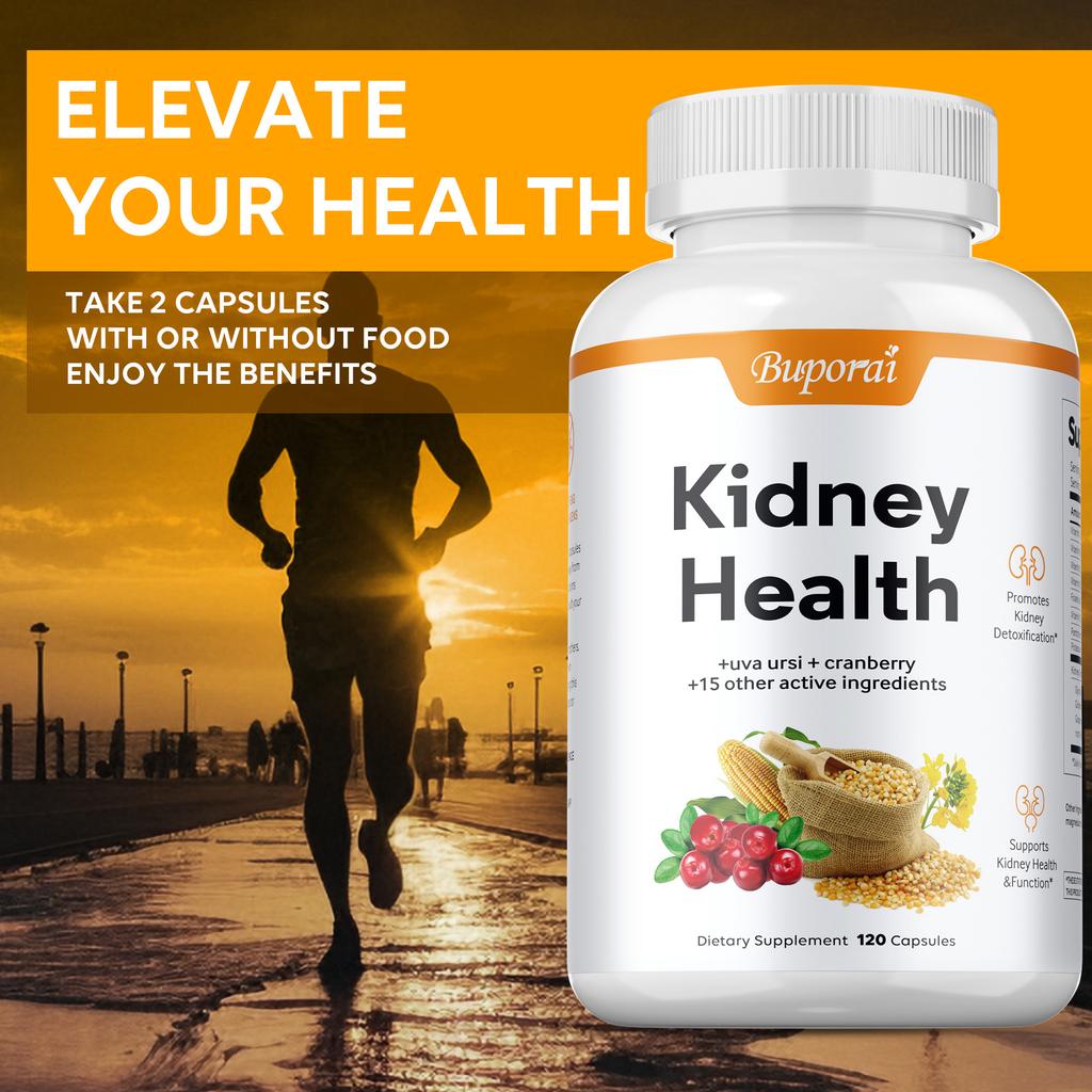 Kidney Health Support Supplement, Containing Bearberry and Cranberry Extracts, Supports Kidney Health.