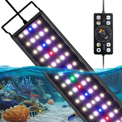 Pești și animale marine – Iluminare acvariu