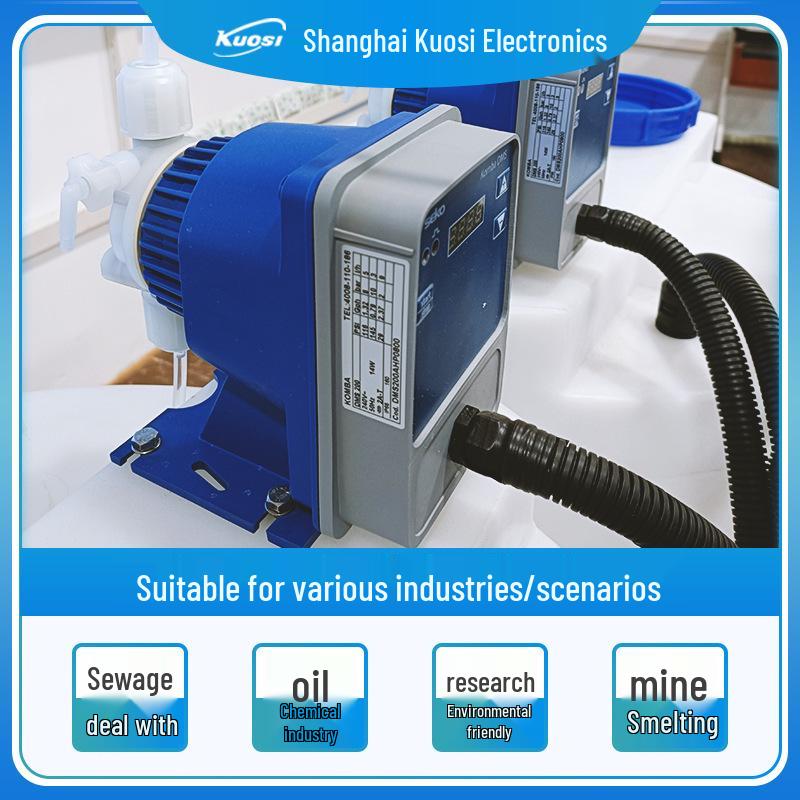 SEKO Saigao Acid & Alkali Resistant Electromagnetic Diaphragm Dosing Pump for Water Treatment (DMS/DML/DMC200 Series)