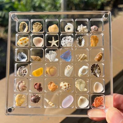 36 Fächer Muschel-Präsentationsbox aus Acryl, magnetisch, Muschel-Präsentationsbox, Organizer-Box, stapelbar, kleine Bastelfachbox