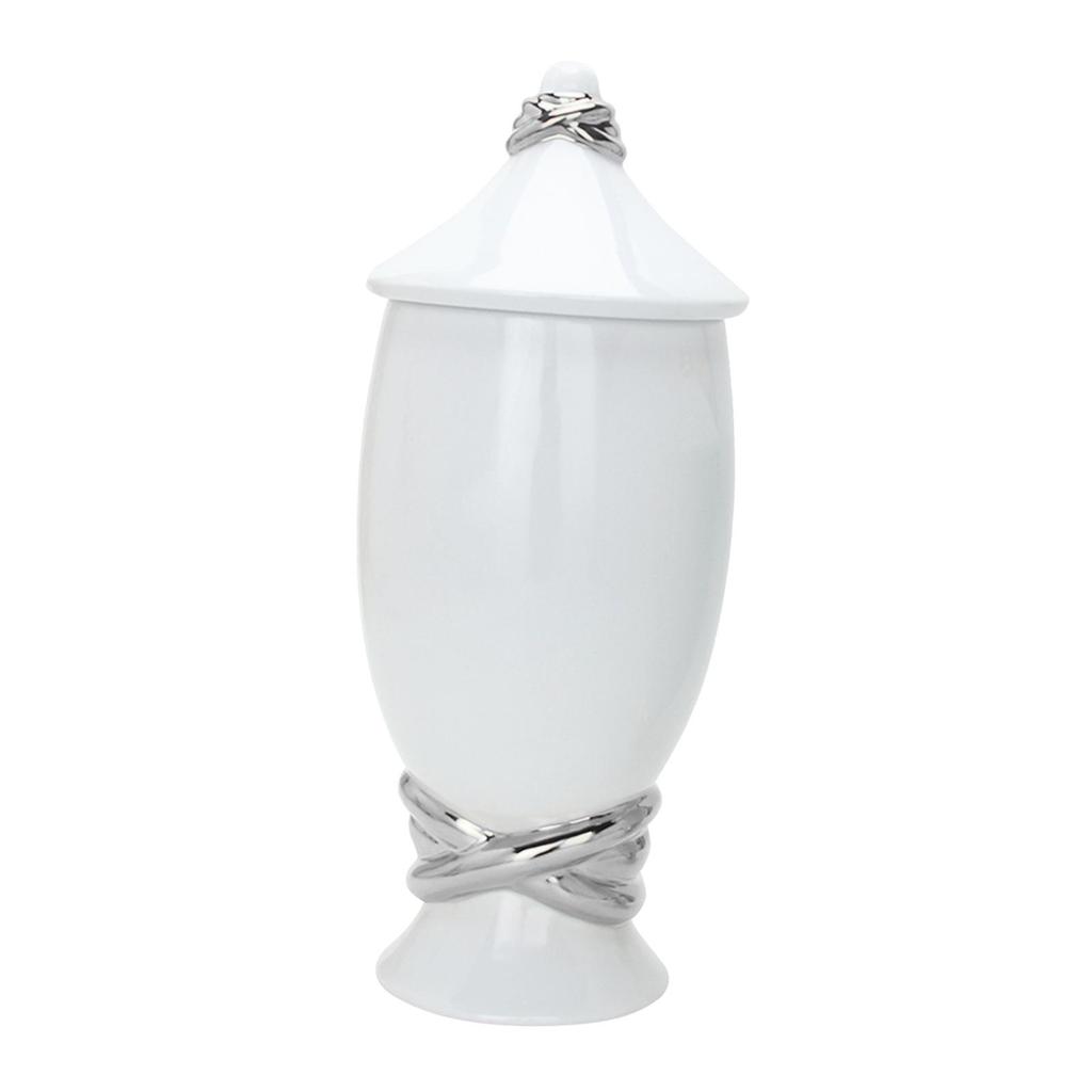 Ceramic Jar Vase Ginger with Lid Collection Desk Versatile Flower Storage Jars for Drawing