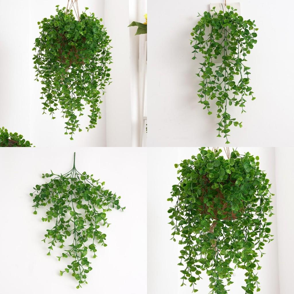 Wall Plant Eucalyptus Plastic Leaves Interior Design Photography Scenes