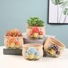 Hand Painted Bisque Ceramic Mini Pot, Colorful Mushroom Cute Planter for Succulent, Oval Drainage Hole Flower Container