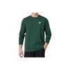 Nike T Shirts Men's Green Crew Neck Moderate Straight Fit AR5194-323