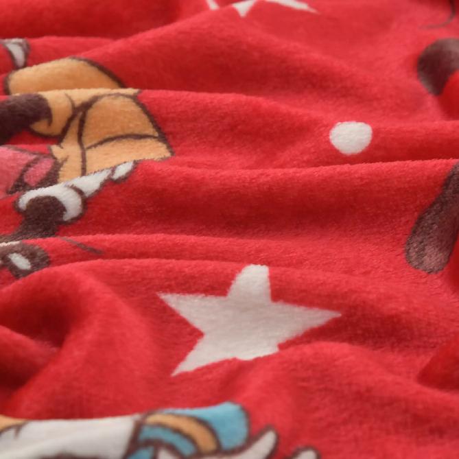 Disney Kids' ENJOY WINTER Blanket All-Over Print Mickey & Friends Japan NEW