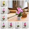 3 Heads Artificial Phalaenopsis Potted Bonsai Advanced Fake Phalaenopsis Bonsai  Wedding
