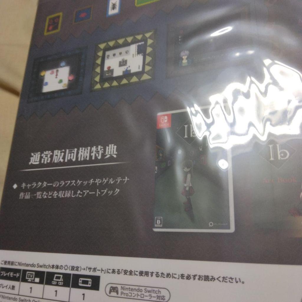 [USED] Nintendo Switch Ib Eve Horror Game Artbook Adventure