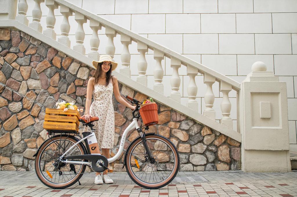 DYU C6 PRO Electric City Bike 36V 15.6Ah Battery, 250W Motor, Range 80 KM, Max Speed 25 km/h, 26*2.125 Inch Tires, E-Bike