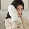 Winter New Thickened Plush Warm Gloves Fashionable Simple Solid Color Thermal Cold Weather Handwear
