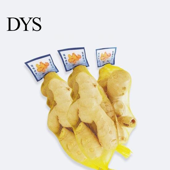 Hanging Bag 100Pcs Mesh Bags Convenient Reusable PE Breathable Garlic Storage Ginger Packing Net Sacks Plastic Buckles for Market