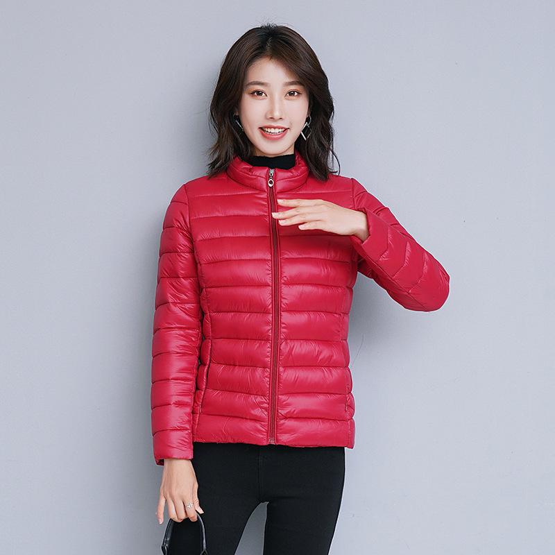 2023 Women's Off-Season Lightweight Cotton Jacket, Solid Color, Korean Style, Versatile, Short and Slim Fit