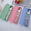 Pastel Portable Spoon Set 3 Colors