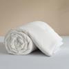 Hengyuanxiang Antibacterial Tussah Silk Quilt