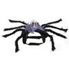 Realistic Cat Spider Outfit Skull Face Design Pet Spider Costume  for Prank Prop