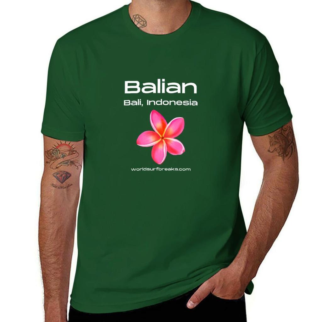 Balian Bali Indonesia Surf Break Tshirt Animal Prinfor Boys Oversizeds Black T Shirts for Men