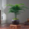 Woondecoratie – Decoratieve bloemen en kransen