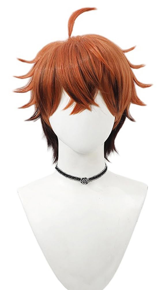 

Yusei Kitami Cosplay Wig, Brown/Black, Heat-Resistant, Perfect for Costumes, Halloween, Events, and Photoshoots (Yusei Kitami)