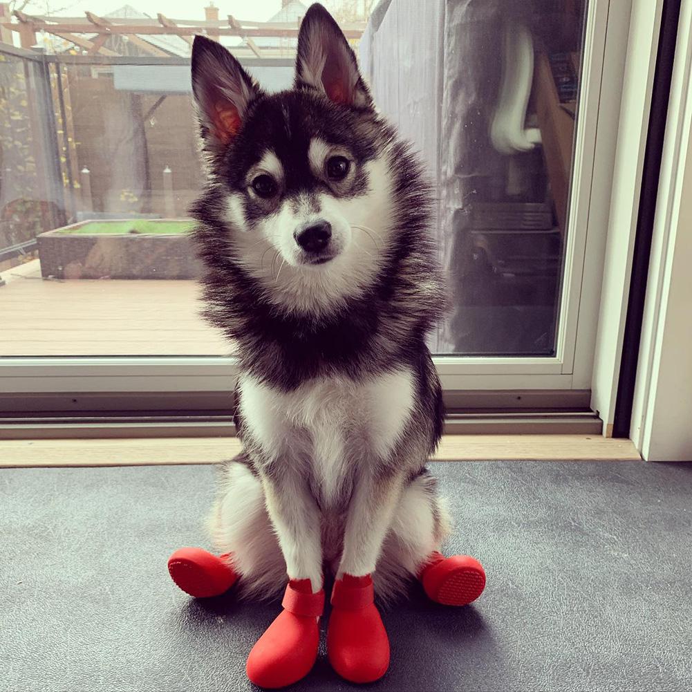 Silicone Dog Boots Waterproof Anti-Slip Pet Shoes 2pcs Paw Protectors All Weather Cute Dog Walking Shoes
