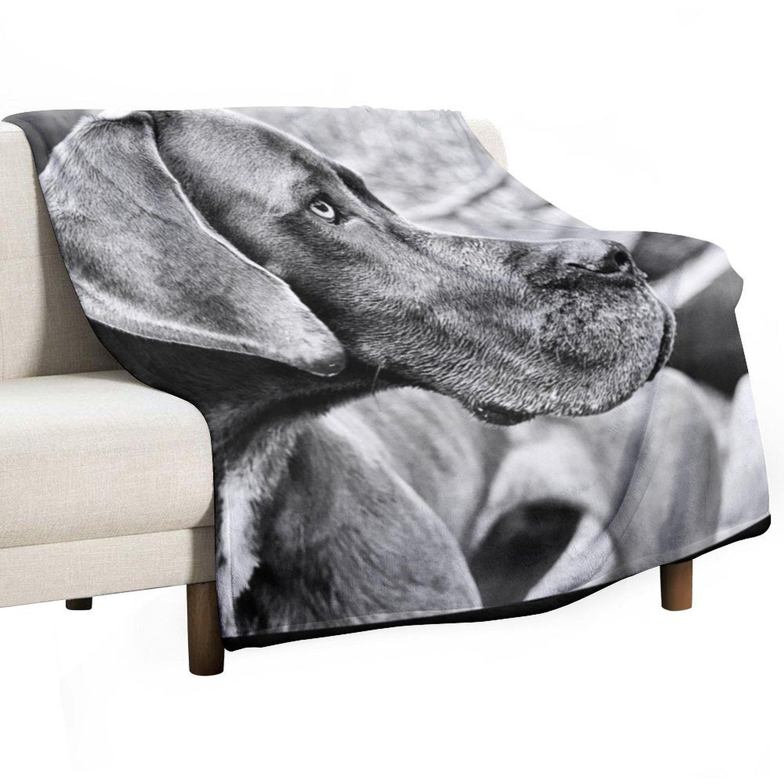 

Сине-черный плед из датского дога для ребенка, дивана, квилт, зимние кровати, красивые одеяла 30x40in