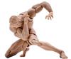 Scale Male Action Super Flexible and Strong Muscle Miniature Figure Body Doll with Interchangeable Hands and Accessory Collection 1/12 Figure, 6-inch