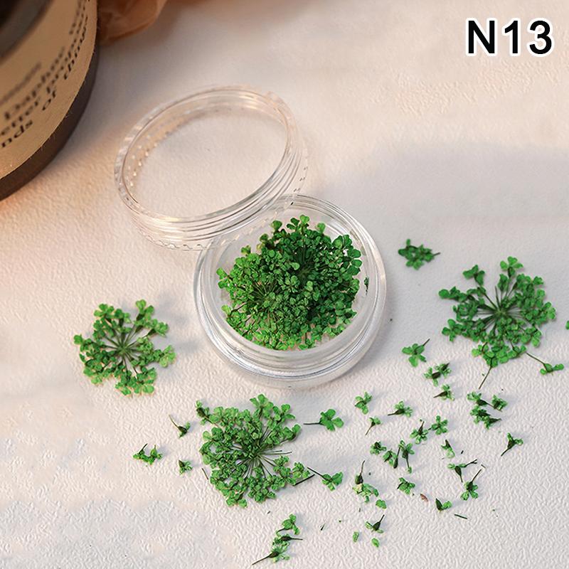 5 st/ask 3D torkade blommor nagelkonstdekorationer torkade blommor klistermärken gör-det-själv manikyr berlocker design för nageltillbehör