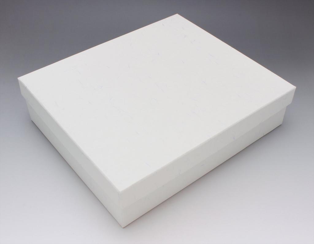 SOUSEN Seto Ware Gift Set of 5 White Plates with Train and Bus Boxed Set Medium-Sized Designs,