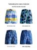 2026 Men's Ice Silk 3D Print Mid-Length Beach Sports Shorts - Trendy and Versatile Casual Wear
