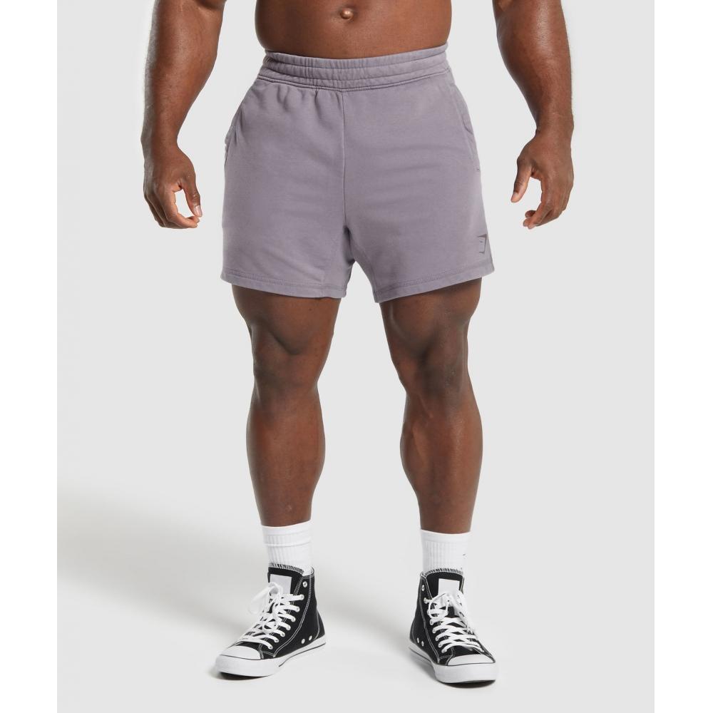 

Шорты GYMSHARK Power Washed 5, противотуманные, фиолетовые A4A8K PBVT