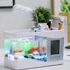 Creative USB Mini Fish Tank with Desk Lamp & Pen Holder - Perfect Birthday Gift