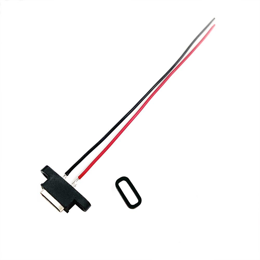 

1-10 шт. Новый водонепроницаемый USB-порт Type-C 2-контактный женский разъем с отверстием для винта, интерфейс быстрой зарядки, кабель USB-разъема 1pcs