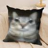 Meme Pixel Cat Cute Funny Cushion Cover Silky Short Plush Invisible Zipper Dustproof Sofa Pillow Case For Home Decor