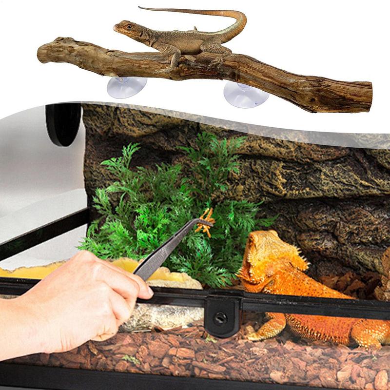 Artificial Branches Reptile Cave Corner Fake Branch Terrarium Plant Decor With Suction Cup Amphibian Lizard Snake Climbing