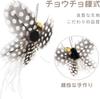 SONGWAY Cat Toys, Cat Teasers, Insects, Butterflies, Large Flying Bugs, 8 Pieces, with Fishing Rod
