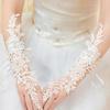 Bridal Long Gloves Lace Fingerless Gloves Flower Accessories Wedding Hook Fingers Elegant Look Thin and Beautiful Gloves