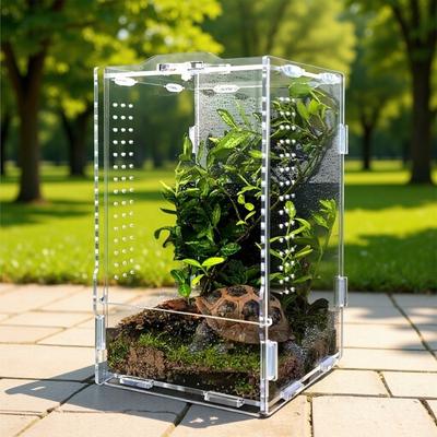 Ausbruchsichere Acryl-Krabbelbox Transparentes Springspinnen-Terrarium Landschafts-Lebensraum