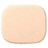 ASTALIFT - Powder Foundation Sponge