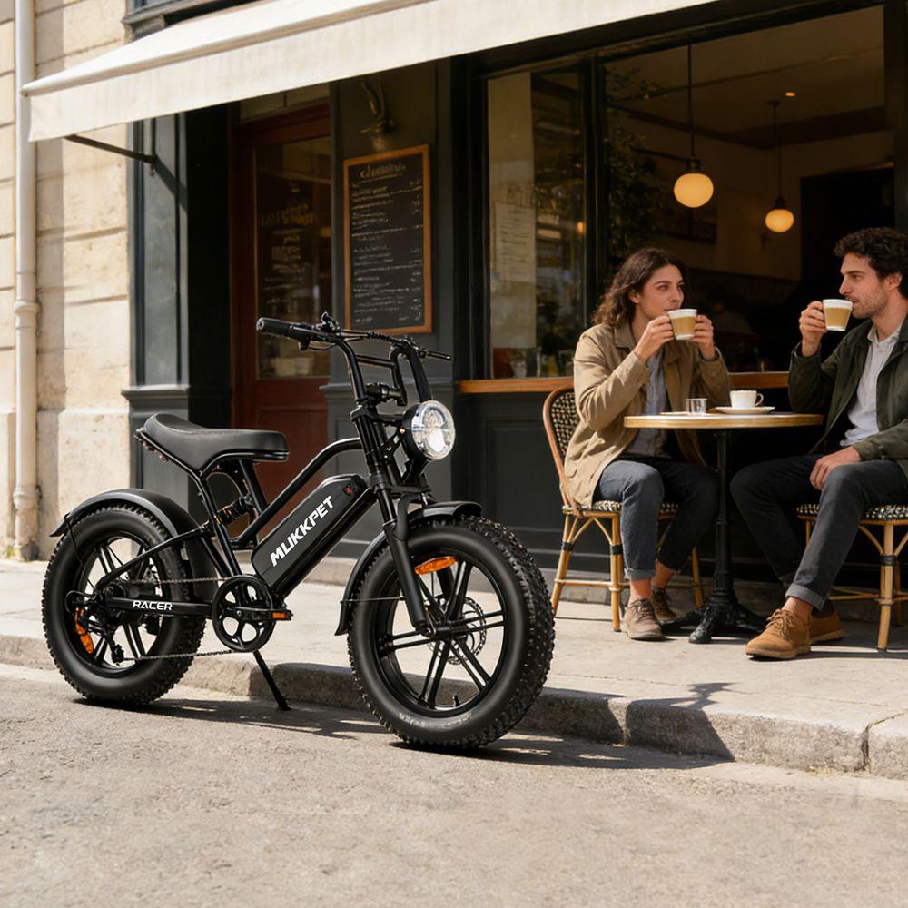 Bicicletta Elettrica Mukkpet Racer Motore 250W Ruote Grasse 20" Full Sospensioni E-bike per Adulti Velocità Massima 25km/h Freni a Doppio Disco 48V 18AH 7 Velocità