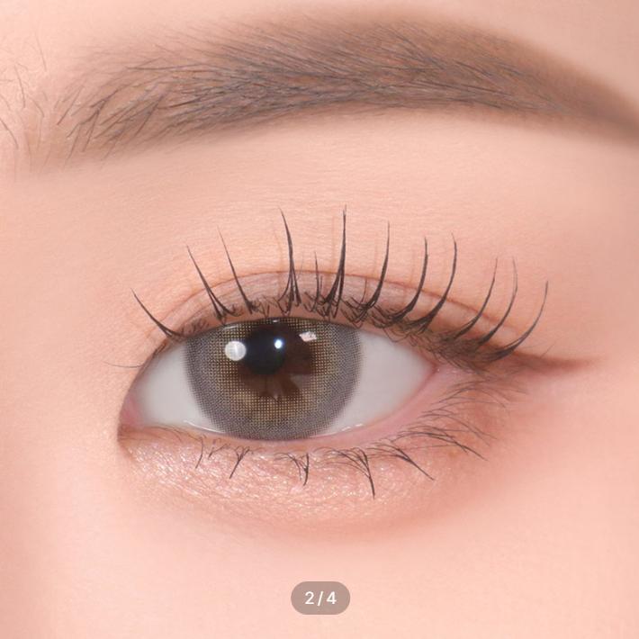 Art Class Blooming Gray