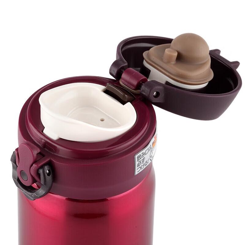 Thermos JNL-500 500ml Vacuum Insulated Bottle