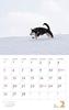 Calendar 2023 Shiba Inu (Month Flip/wall Hanging) (Yamakei Calendar 2023)