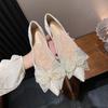 Modische temperamentvolle Damenschuhe 2026 Herbst Neu Spitzes flaches Schuhwerk Vielseitige Damen Mary Jane Schuhe Rutschfester Damen Ballerinas