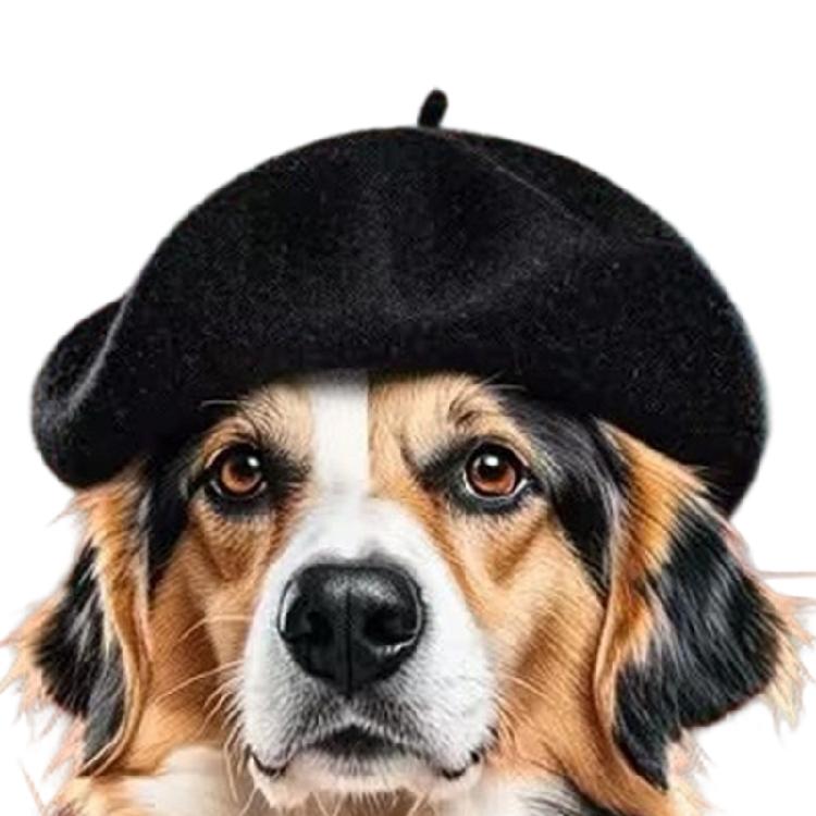

Pet Warm Wool Hat for Winter Warmth Cold Weather Cats Dog Hat for Festival Gathering Dressingup Photography Headwear