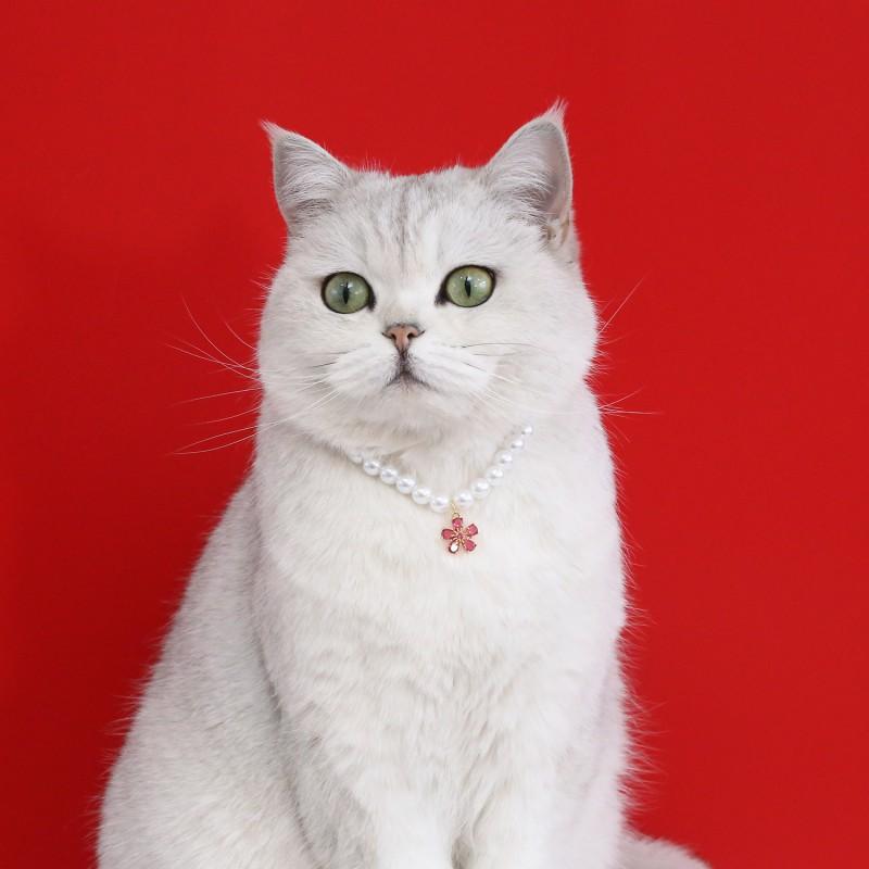 Floral Pet Necklace With Pearl Zircon Accents Cats Small Dogs - Birthday Wedding Party Accessory