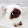 Cute Siamese Cat Plush Toy Soft Stuffed Animal Blue Sequins Eyes Brown White Face Decor Christmas Birthday New Year Present