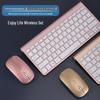 OLOEY Ultra-Thin 2.4G Wireless Keyboard and Mouse Set