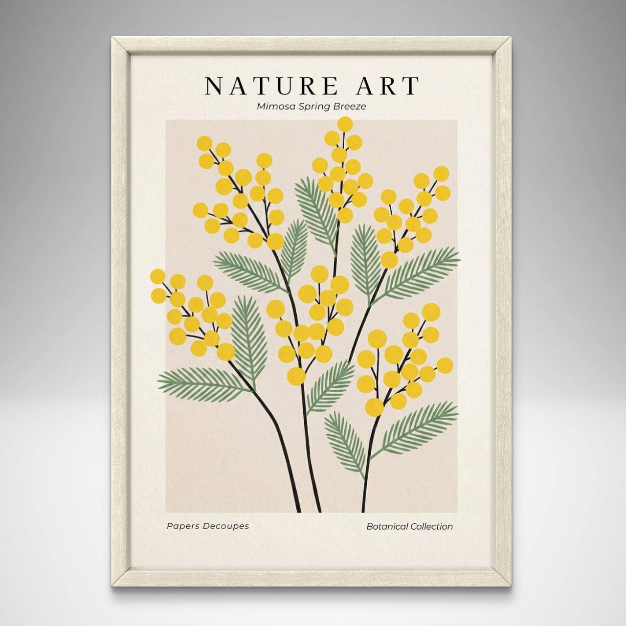 Mimosa Botanical Art Poster A4 Size