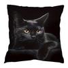 Animal Pillow Cover, Sofa Decoration, Without Pillow Core, Sofa Square Pillowcase,17.71*17.71in