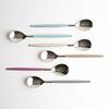 Surfinia Color Ceramic Stainless Steel Spoon Set