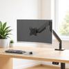 Adjustable 17-38 Inch Monitor Arm Stand for Desktop